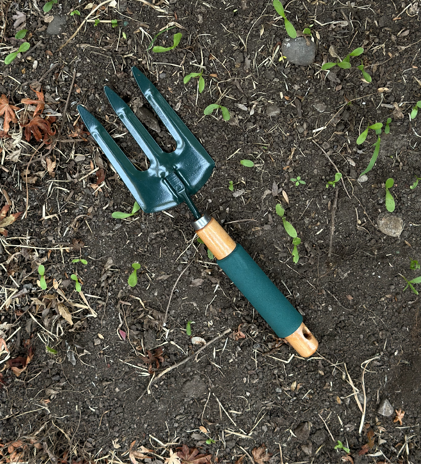 Kit de herramientas de vermicompostaje