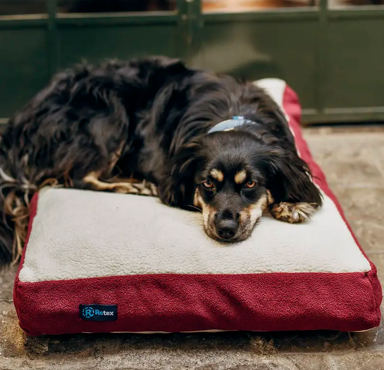 Cama para perro